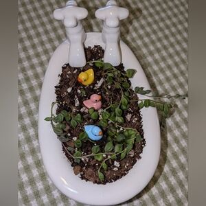 Ceramic Bathtub Soapdish Planter With String Of Pearls Succulents & Little Ducks